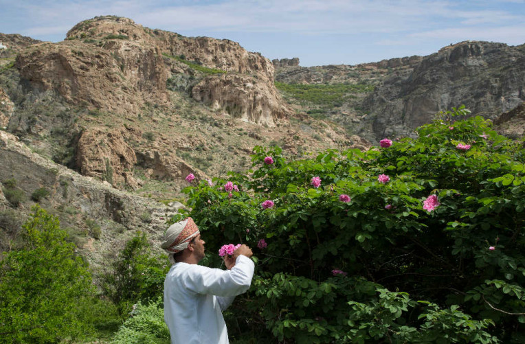 013_Rose Farm © Ministry of Heritage & Tourism Sultanate of Oman